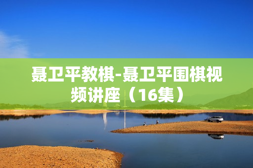 聂卫平教棋-聂卫平围棋视频讲座（16集）