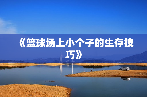 《篮球场上小个子的生存技巧》