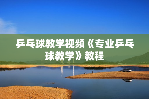 乒乓球教学视频《专业乒乓球教学》教程