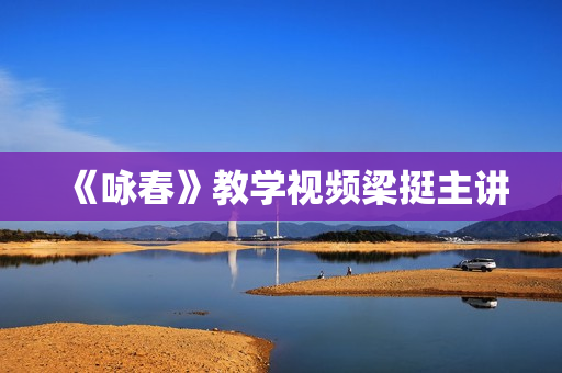 《咏春》教学视频梁挺主讲