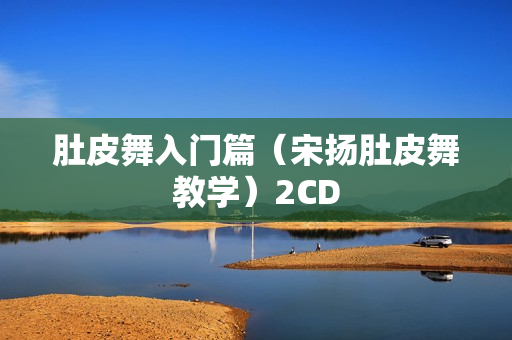 肚皮舞入门篇（宋扬肚皮舞教学）2CD