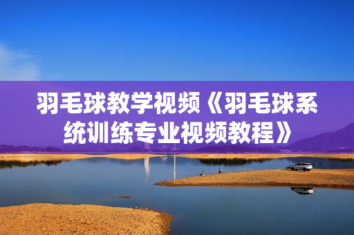 羽毛球教学视频《羽毛球系统训练专业视频教程》