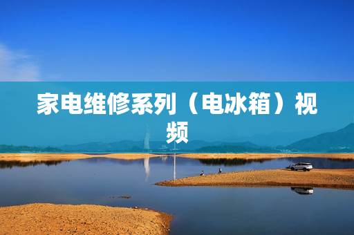 家电维修系列（电冰箱）视频