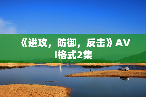 《进攻，防御，反击》AVI格式2集