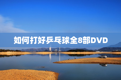 如何打好乒乓球全8部DVD