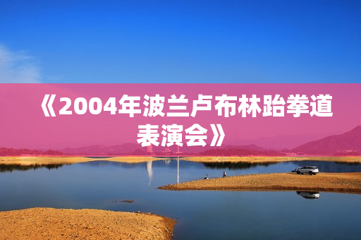 《2004年波兰卢布林跆拳道表演会》