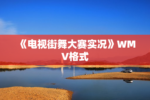 《电视街舞大赛实况》WMV格式