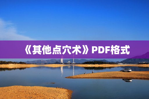 《其他点穴术》PDF格式