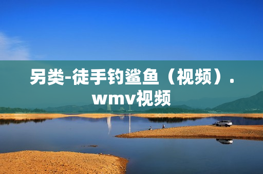 另类-徒手钓鲨鱼（视频）.wmv视频