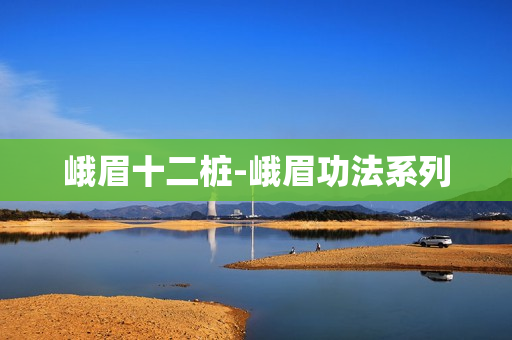 峨眉十二桩-峨眉功法系列
