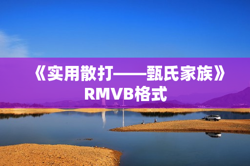 《实用散打——甄氏家族》RMVB格式