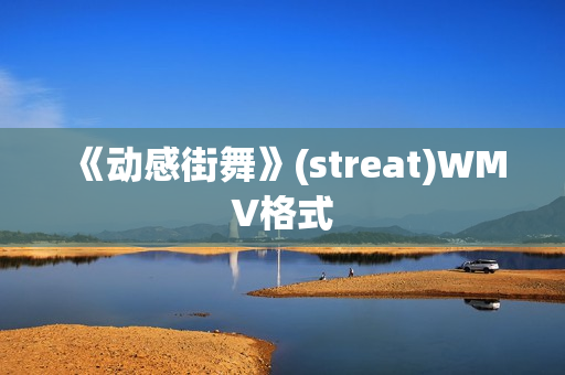 《动感街舞》(streat)WMV格式