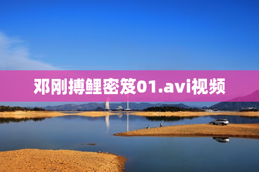 邓刚搏鲤密笈01.avi视频