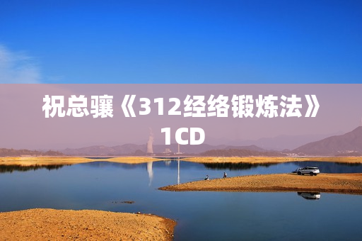 祝总骧《312经络锻炼法》1CD