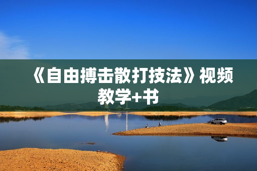 《自由搏击散打技法》视频教学+书