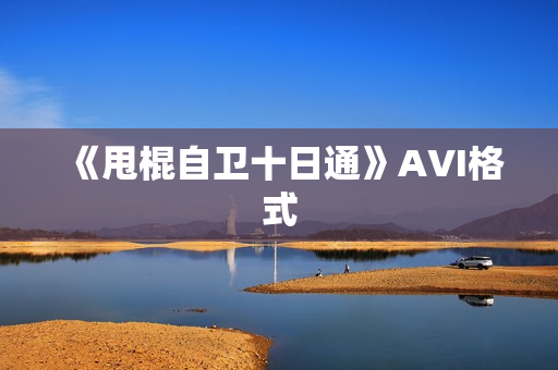 《甩棍自卫十日通》AVI格式