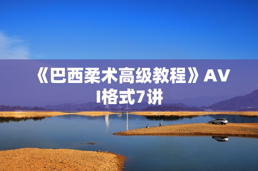《巴西柔术高级教程》AVI格式7讲