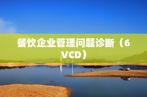 餐饮企业管理问题诊断（6VCD）