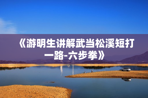 《游明生讲解武当松溪短打一路-六步拳》