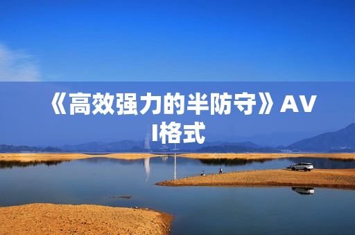 《高效强力的半防守》AVI格式