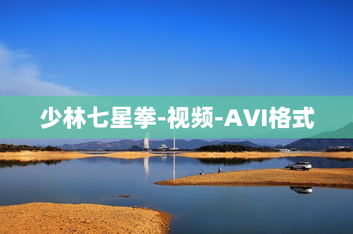 少林七星拳-视频-AVI格式