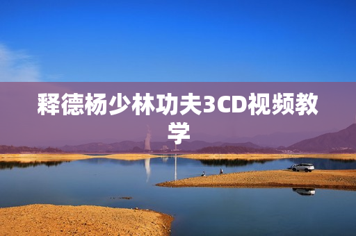 释德杨少林功夫3CD视频教学