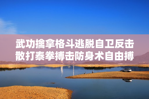 武功擒拿格斗逃脱自卫反击散打泰拳搏击防身术自由搏斗视频教程