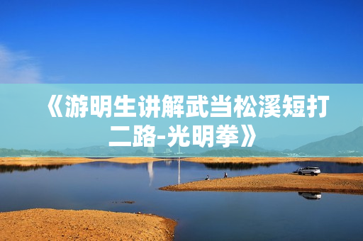 《游明生讲解武当松溪短打二路-光明拳》