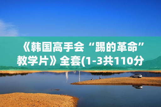《韩国高手会“踢的革命”教学片》全套(1-3共110分钟韩语版)