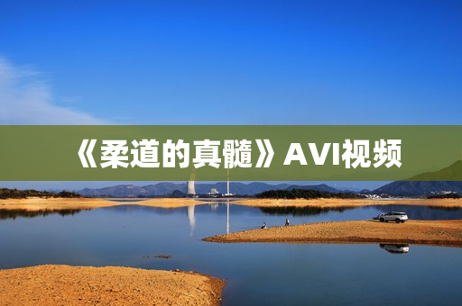 《柔道的真髓》AVI视频