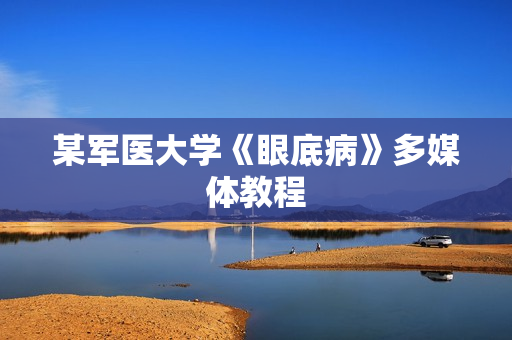 某军医大学《眼底病》多媒体教程