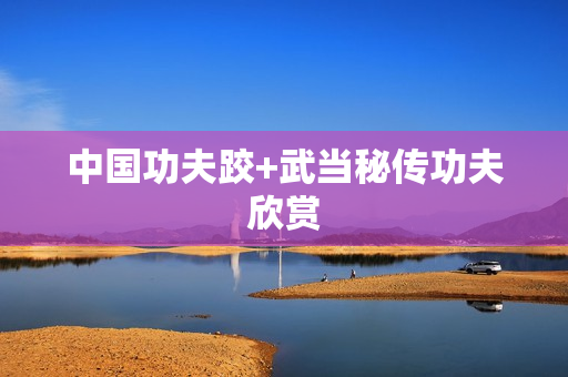 中国功夫跤+武当秘传功夫欣赏  第1张
