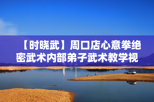 【时晓武】周口店心意拳绝密武术内部弟子武术教学视频全12集