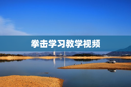 拳击学习教学视频