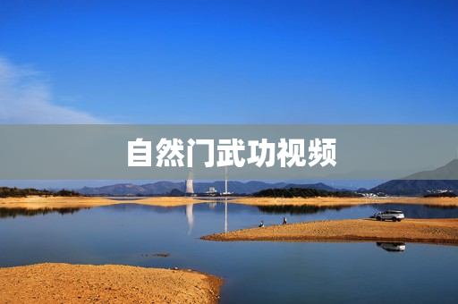 自然门武功视频