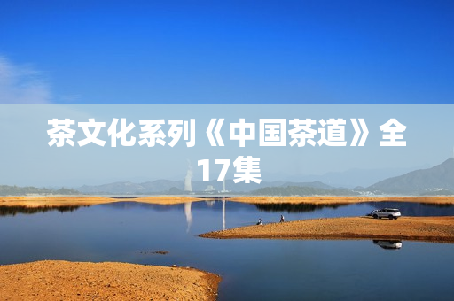 茶文化系列《中国茶道》全17集