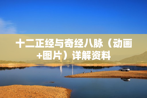 十二正经与奇经八脉（动画+图片）详解资料