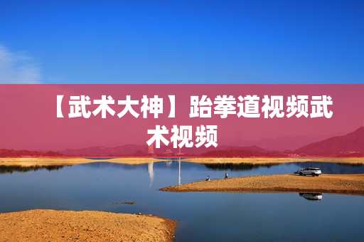 【武术大神】跆拳道视频武术视频
