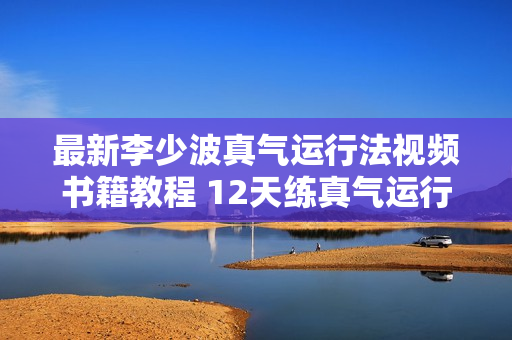 最新李少波真气运行法视频书籍教程 12天练真气运行法学中医