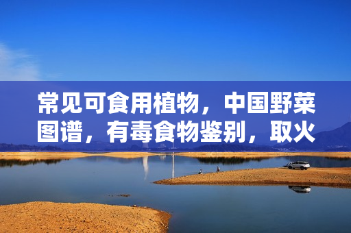常见可食用植物，中国野菜图谱，有毒食物鉴别，取火之道