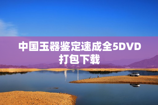 中国玉器鉴定速成全5DVD打包下载
