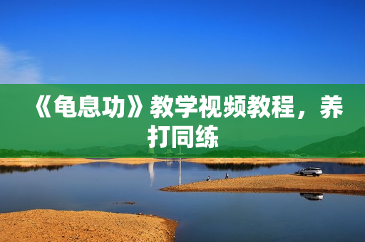《龟息功》教学视频教程，养打同练