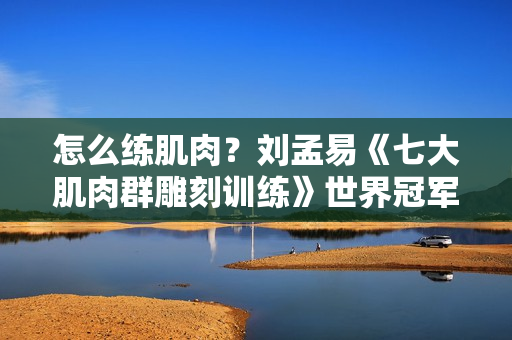 怎么练肌肉？刘孟易《七大肌肉群雕刻训练》世界冠军教你如何练肌肉