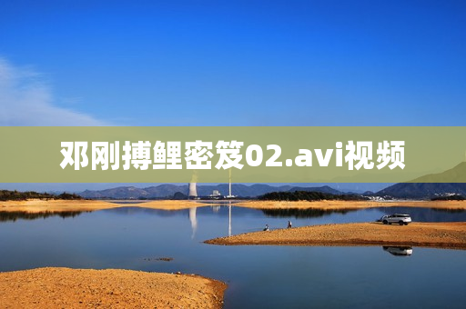 邓刚搏鲤密笈02.avi视频