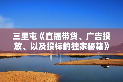 三里屯《直播带货、广告投放、以及投标的独家秘籍》