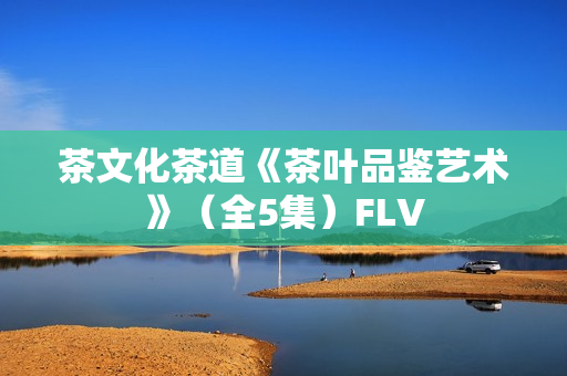 茶文化茶道《茶叶品鉴艺术》（全5集）FLV