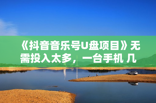 《抖音音乐号U盘项目》无需投入太多，一台手机 几个抖音号就开始