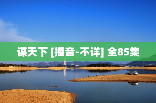 谋天下 [播音-不详] 全85集