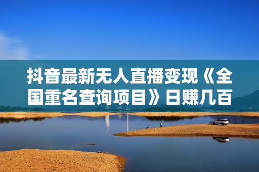 抖音最新无人直播变现《全国重名查询项目》日赚几百