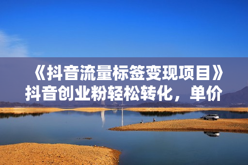 《抖音流量标签变现项目》抖音创业粉轻松转化，单价高收益简单